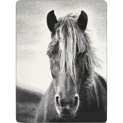 Плед BIEDERLACK Animal Love 1235 GR SILVER luli764102 фото
