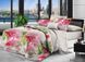 Комплект постільної білизни BR6536 TAG polycotton sem-674 фото 1
