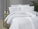 Комплект Cotton Satin S-365 Broad Line White S-365-Broad-Line-White-Євро фото 1