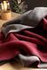 Плед Biederlack Doubleface - Duo Cotton Melange 796448 фото 4