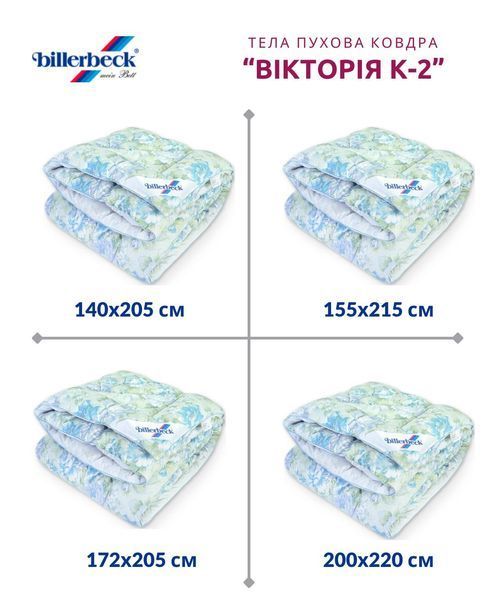 Тепла ковдра Billerbeck Вікторія К-2 Пухова Касетна 0592-02/03 фото