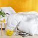 Одеяло Idea Collection AIR DREAM Exclusive ЗИМА Полуторный 155x215 см p_s_k_8-11764 фото 2