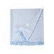 Рушник Lotus Home Pestemal - Argosa stripe 85x175 light-blue блакитний svt-2000022344197 фото 2