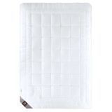Ковдра Idea Collection AIR DREAM Premium ЗИМА Двоспальний 175х210 см p_s_k_8-11698 фото