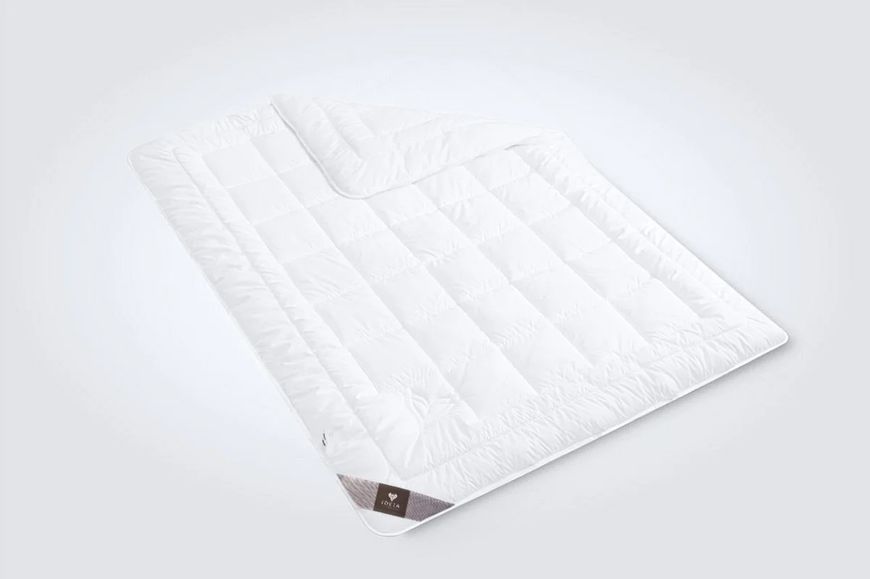 Одеяло Idea Collection AIR DREAM Premium ЗИМА Евро 200х220 см p_s_k_8-11699 фото