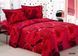 Комплект постільної білизни Le Vele Aroma Bordo le-vele-aroma-red160x220 фото 2