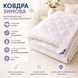 Тепла зимова шовкова ковдра Тіффані Billerbeck 0471-20/05 фото 5