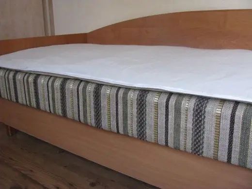 Матрас льняной взрослый Lintex (ткань лён) 80х200х3 см мтл-82 фото