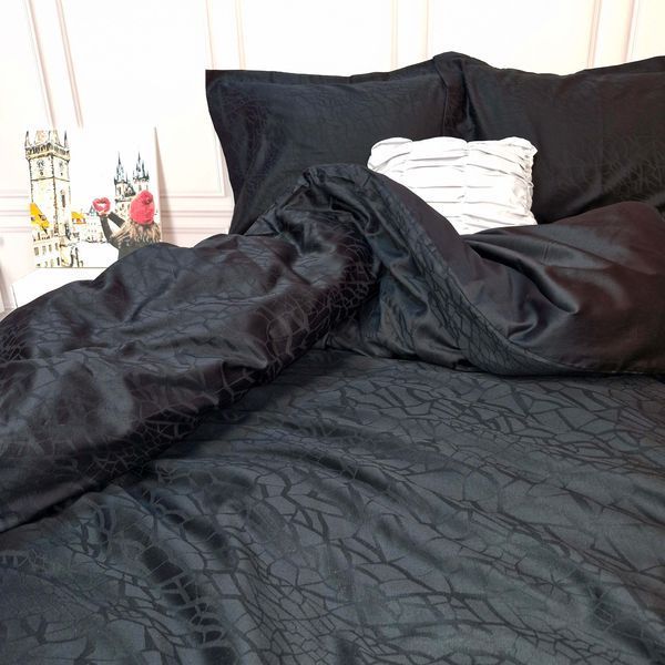 Постельное белье Жаккард BLACK ELEGANT сатин MERISET usk560790-2 фото