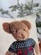 Наволочка гобеленова одностороння MOUNTAIN BEAR-NV1 Limaso lim_MOUNTAIN BEAR-NV1 фото 4