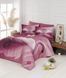 Комплект Dijital Cift с 3D рисунком 3DS-16 Swan Pudra 3DS-16-Swan-Pudra-Євро фото 2