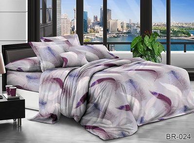 Комплект постельного белья BR-024 TAG polycotton 2-sp-704 фото