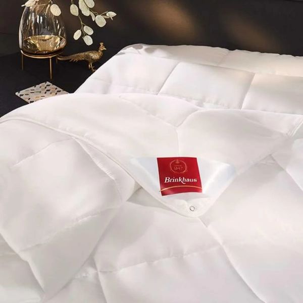 Одеяло BRINKHAUS Tencel Quilt Medium luli53829 фото