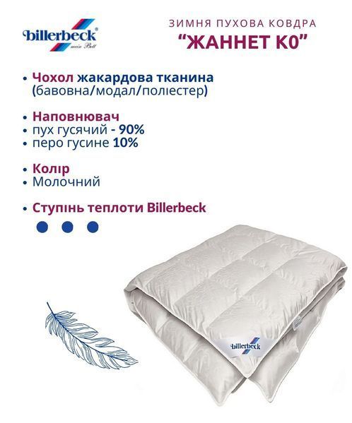 Зимова пухова ковдра Жаннет К0 Billerbeck Стандарт 0596-80/05 фото
