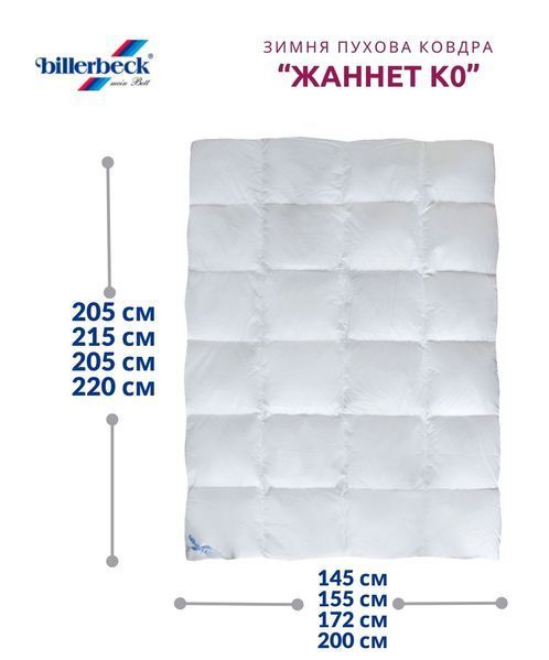 Зимова пухова ковдра Жаннет К0 Billerbeck Стандарт 0596-80/05 фото