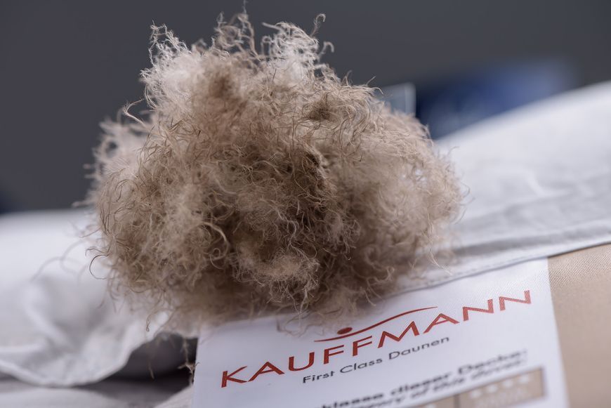 Одеяло из эксклюзивного гагачего пуха Kauffmann kauffmann_3832 фото