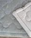 Одеяло гипоаллергенное Zeron Welsoft Gri Евро 195х215 см 3000 г p_s_k_18461 фото 2