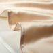 Односторонняя шелковая наволочка Diana Textile Dia-2818-шампань фото 3