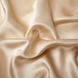 Односторонняя шелковая наволочка Diana Textile Dia-2818-шампань фото 4