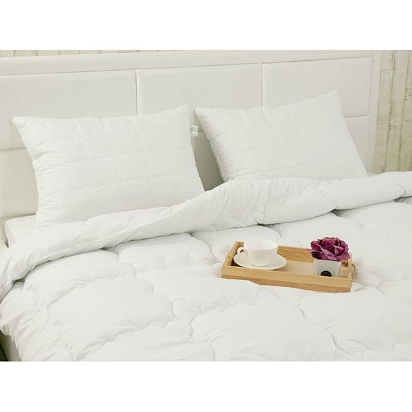 Зимова силіконова ковдра з іонами срібла "Warm Silver" 200х220 см 322.52_Warm Silver фото
