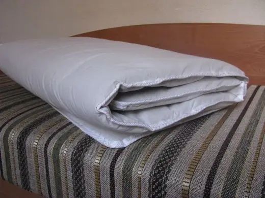 Матрац лляний дорослий Lintex (тканина льон) 90х200х5см мфл-92 фото