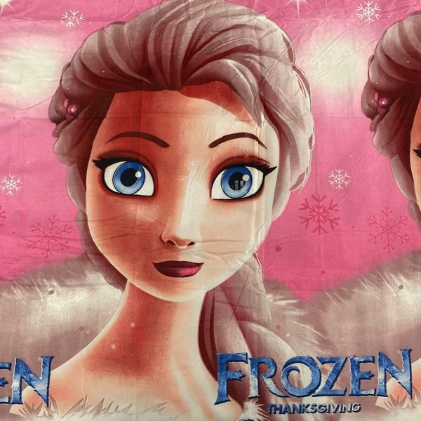 Полуторний комплект постільної білизни для дівчинки Ельза Frozen Tnanksgiving Фланель 150х220 см Epico-045 фото