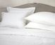 Комплект постельного белья LUXURY LINENS Cecilia Tencel White 100% тенсель Двуспальные