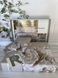 Nomad 5D постельное белье из поплина Евро размер Romeo home Турция Sul-00013 фото 3