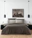 Постельное белье La Romano Mona Premium Satin Alara Iron Евро LaR_хм41587 фото 1