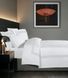 Постельное белье La Romano Mona Premium Satin Montova White Евро LaR_хм41594 фото 2