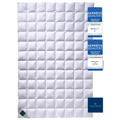 Пухова літня ковдра Billerbeck Nena Superlight  51903274 фото