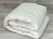 Dia bella Aloe vera 155х215см Полуторна ковдра з Polyester наповнювачем Sul-5634 фото 2