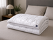 Бамбукова ковдра Billerbeck Bamboo Superlight 51903482 фото 3