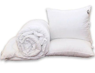 Ковдра Eco-пух TAG Eco-страйп + подушки 70х70, 195 х 215 см Odeyalo-093 фото