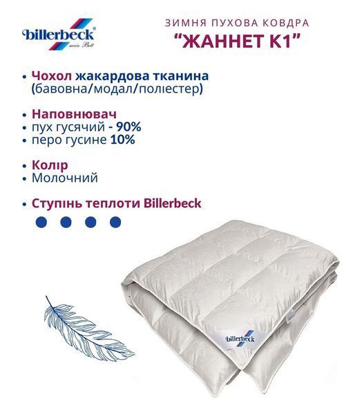 Зимова тепла пухова ковдра Жаннет К1 Billerbeck 0596-81/03 фото